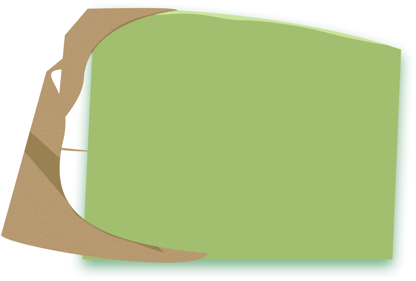 section background